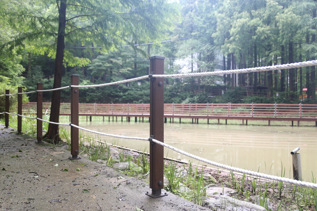 20200908 DOF-W2111A 대전 장태산자연휴양림 (2).JPG
