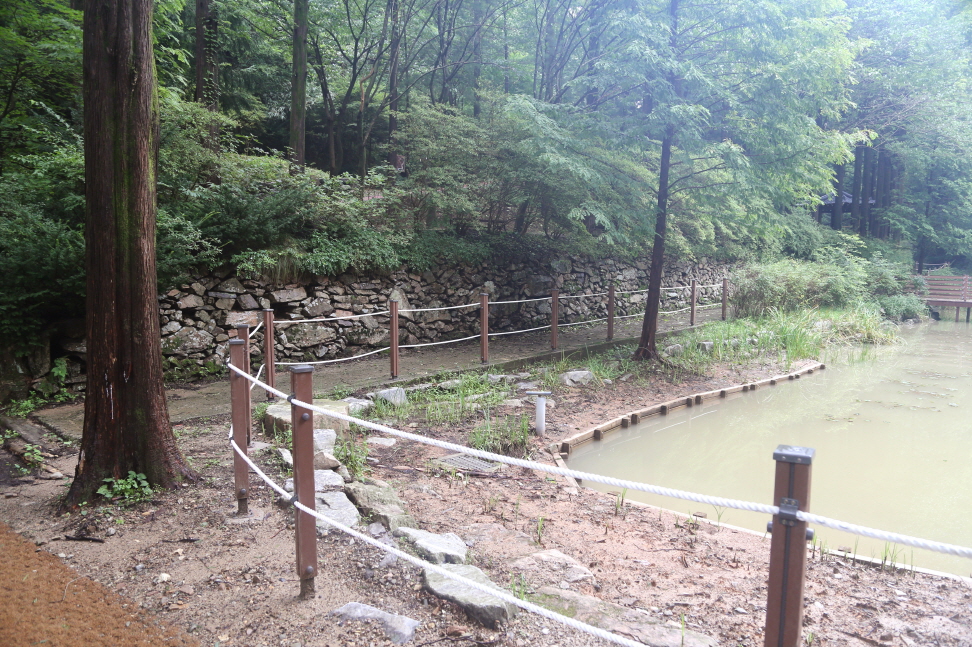 20200908 DOF-W2111A 대전 장태산자연휴양림 (3).JPG