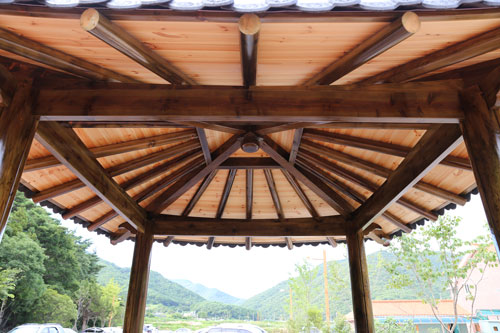 20170520 DOP-2904-2A 충북 괴산군 유기농엑스포광장 (2).jpg