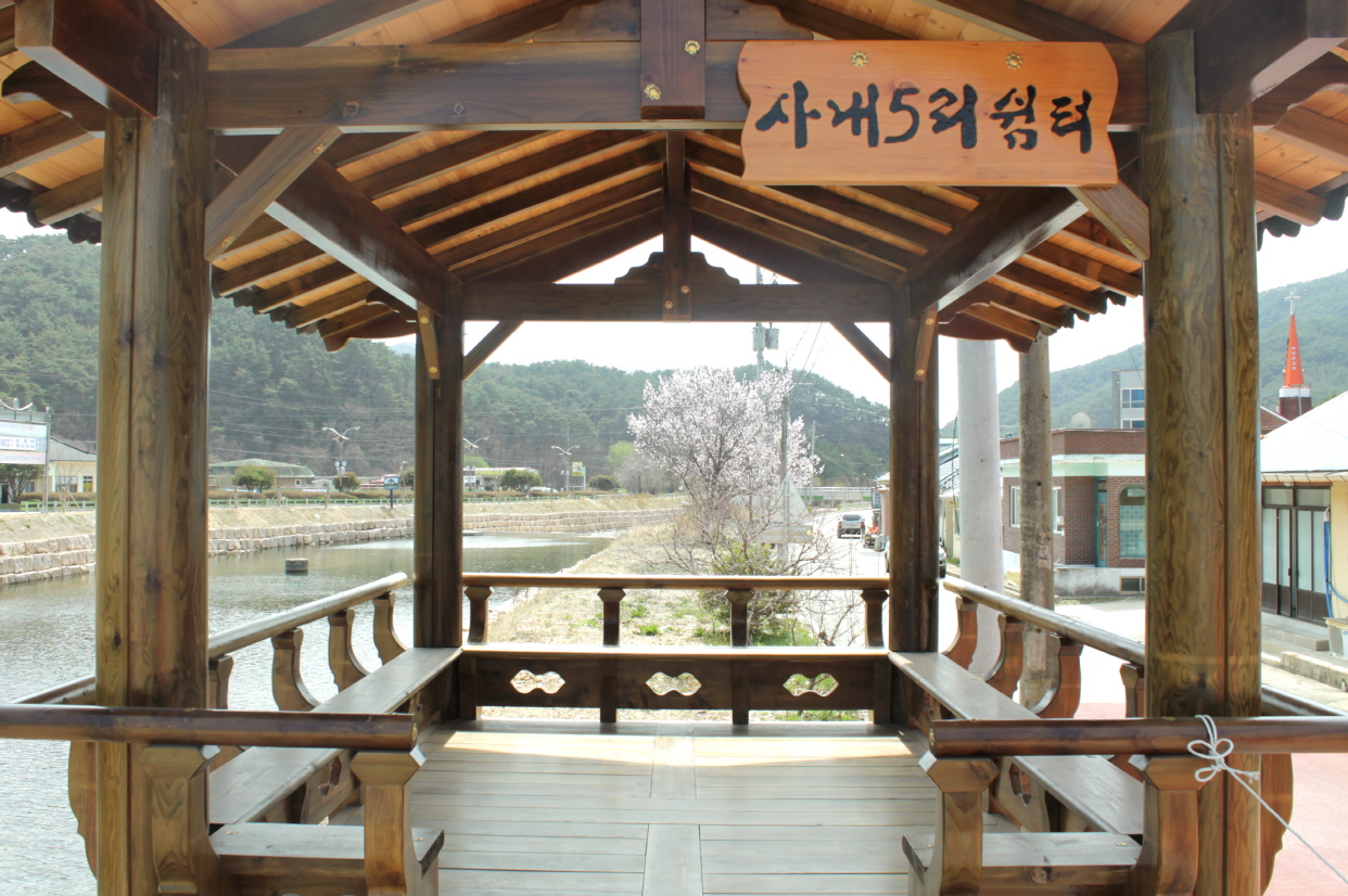 20210408 DOP-2914A 충북 보은군 속리산 (3).JPG