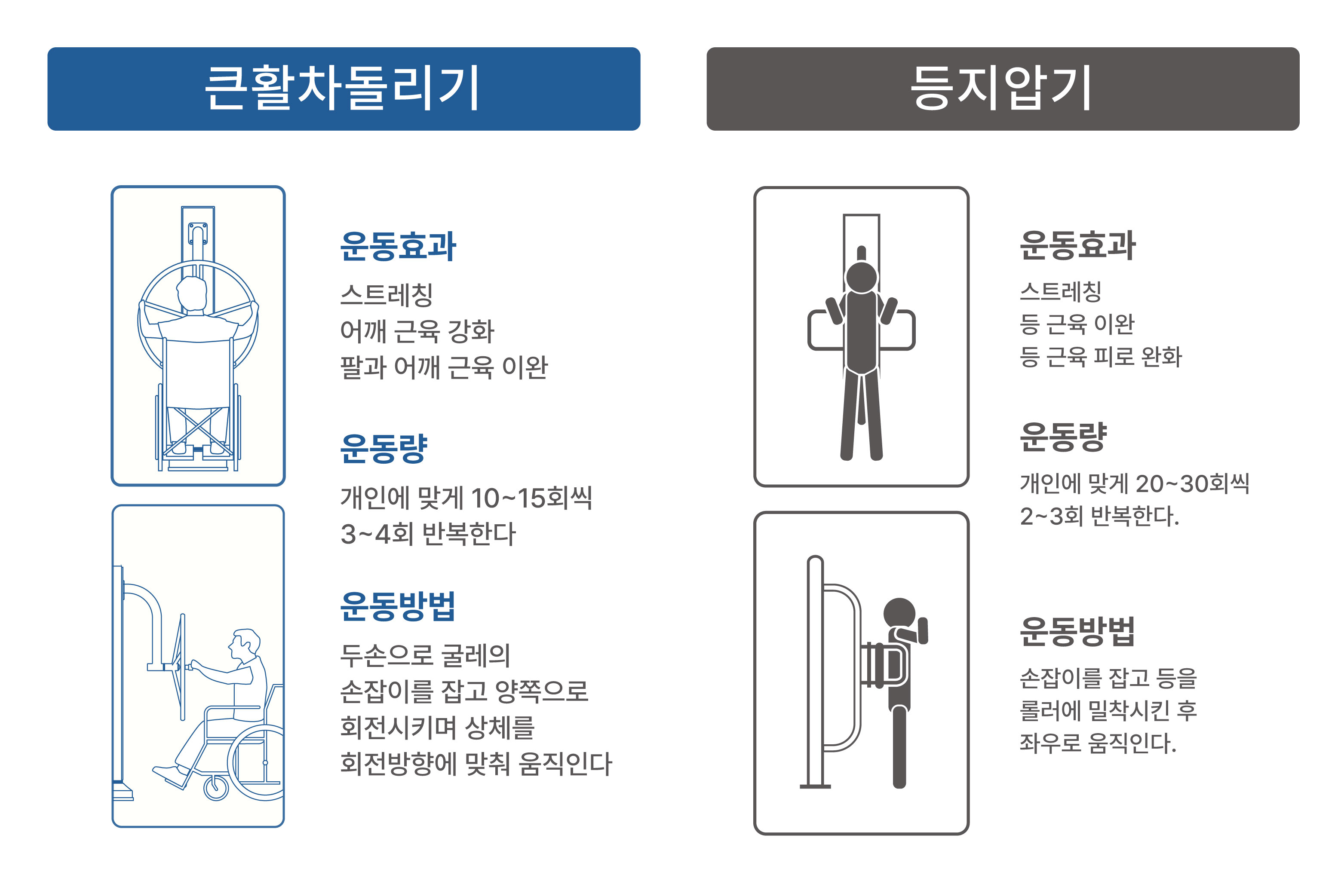 DOH-BF2005 BF큰활차돌리기+등지압기.jpg